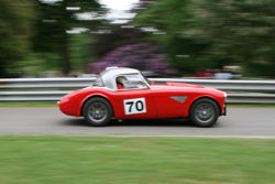 Austin Healey